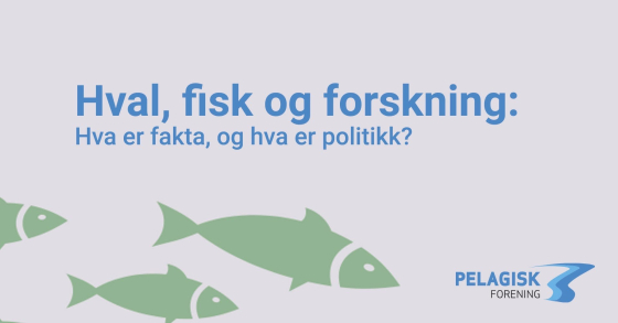 artikkelbilde 1